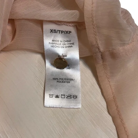 Blush Gauzy Chiffon Sheer Tunic Blouse with Buttons and Pleats​​​​ - Picture 14 of 16